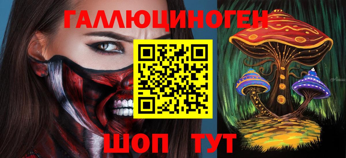 Псилоцибиновые грибы Psilocybine cubensis Чебаркуль